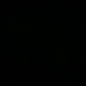 Meet your Posher, Albert